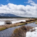 Exploring the Environmental Landscape of Lane County, Oregon
