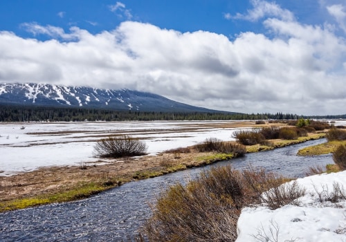 Exploring the Environmental Landscape of Lane County, Oregon